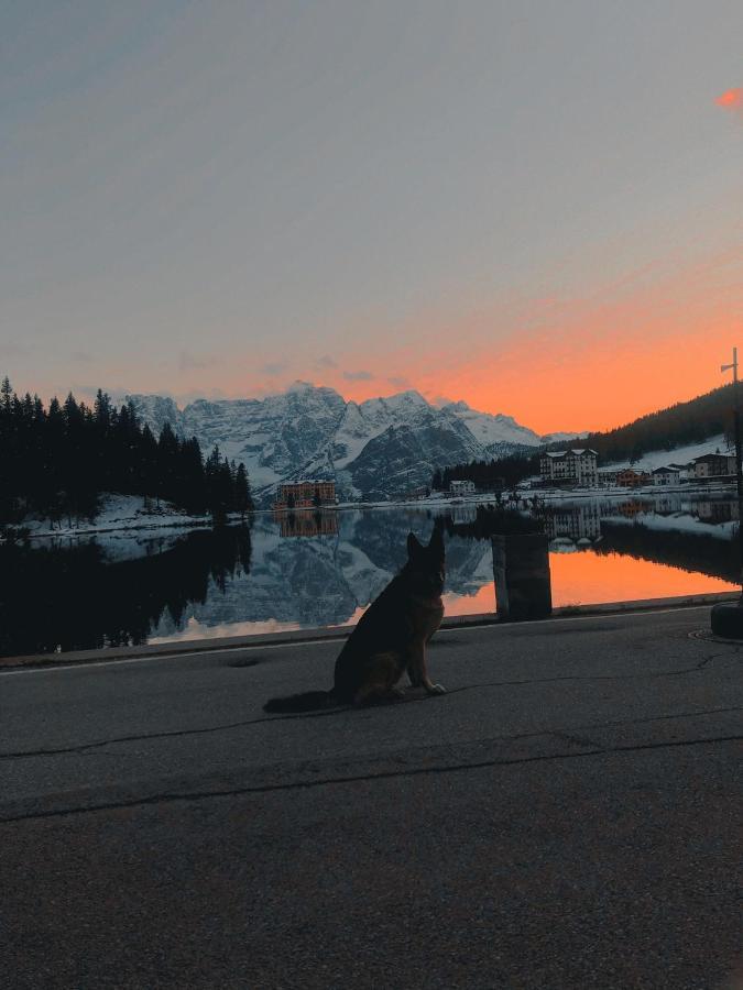 Quinz - Locanda Al Lago Misurina Eksteriør billede